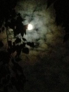 foggy moon  2