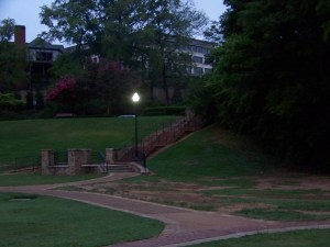 park green at dawn garden