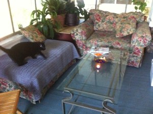 aerie balcony jaz  2