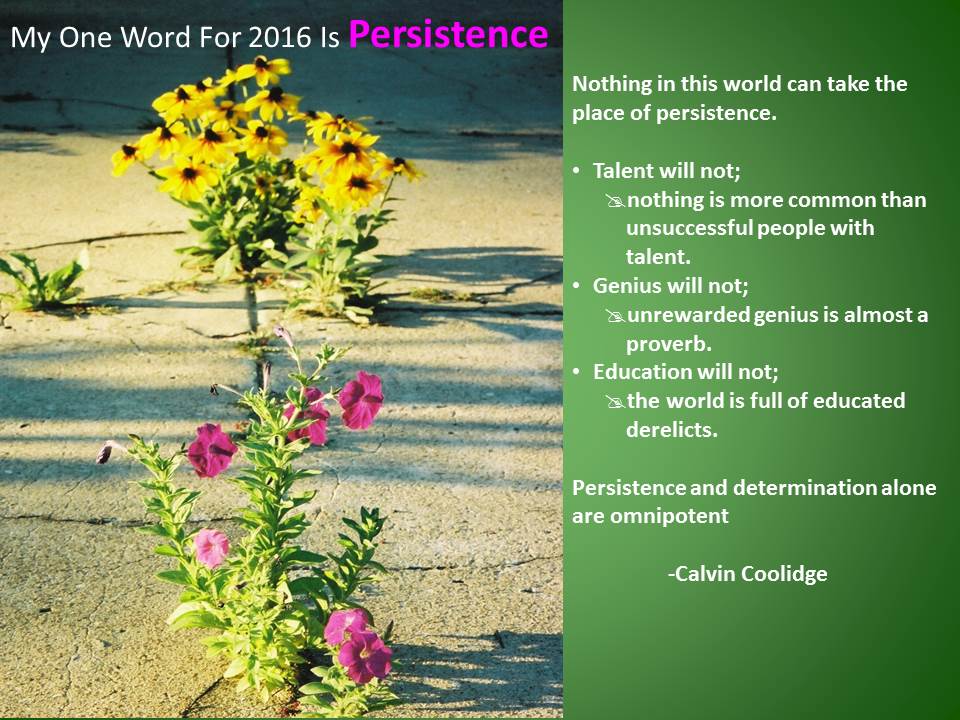 pic persistence 2016